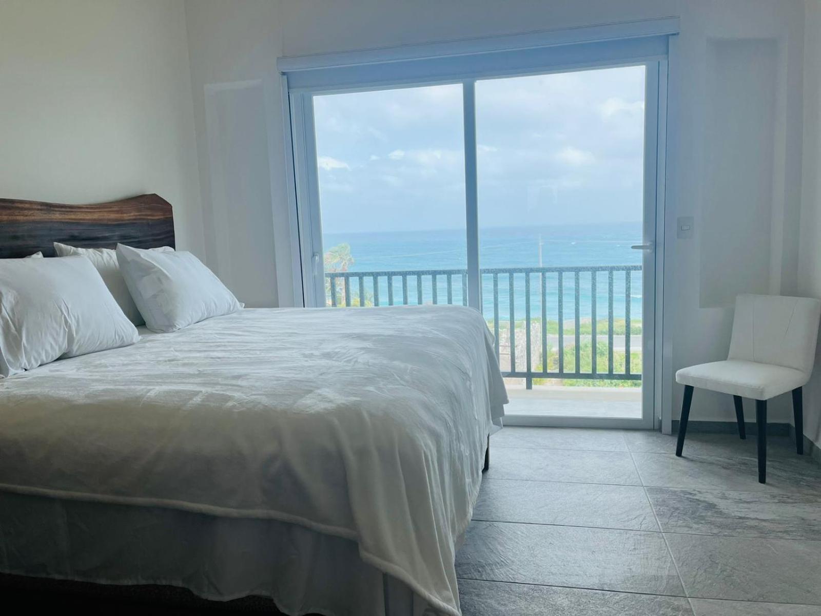 Brand New Penthouse With Plunge Pool, Amazing View Apartamento